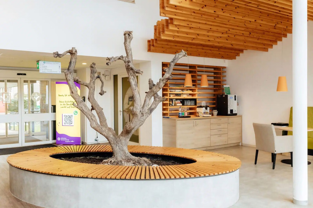 Foyer eines unserer Häuser mit Baum und Holzdecke